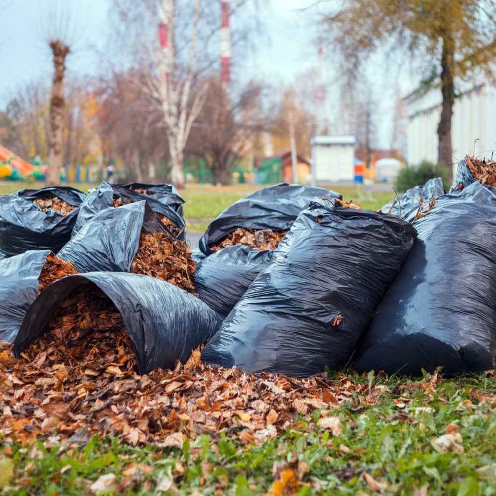 Yard Waste Removal in Hampton Bays