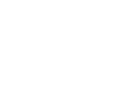 Ally Bank Financing